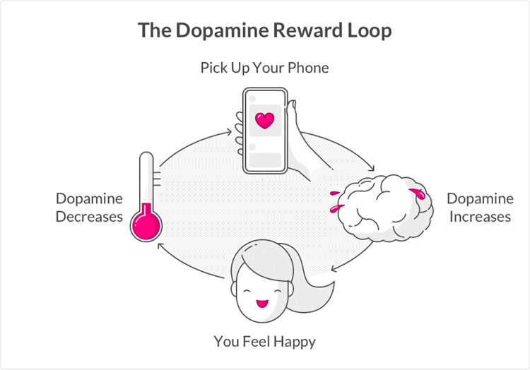 dopamine reward loop.png